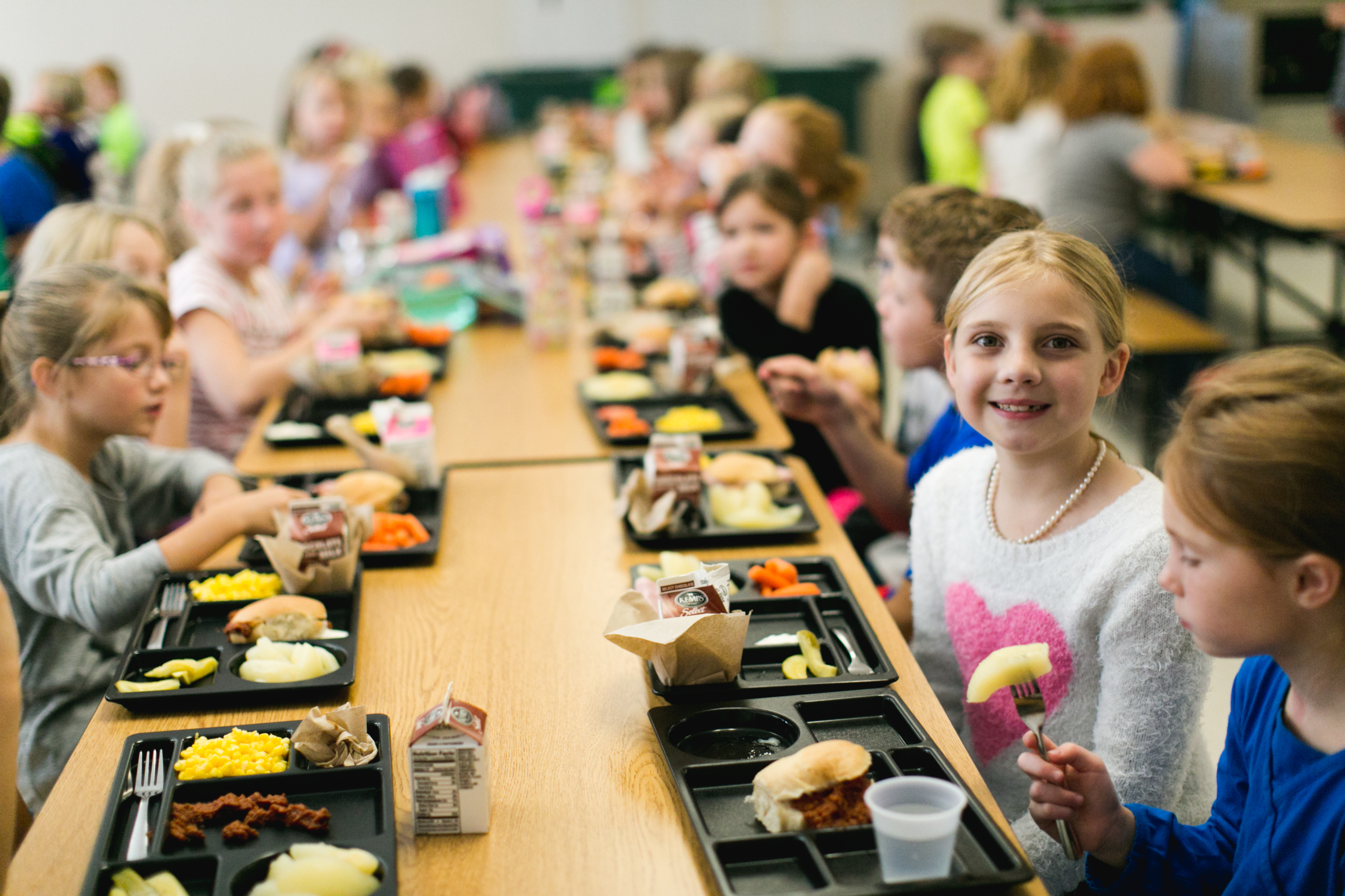 Direct Certification Plan for Free and Reduced Lunches